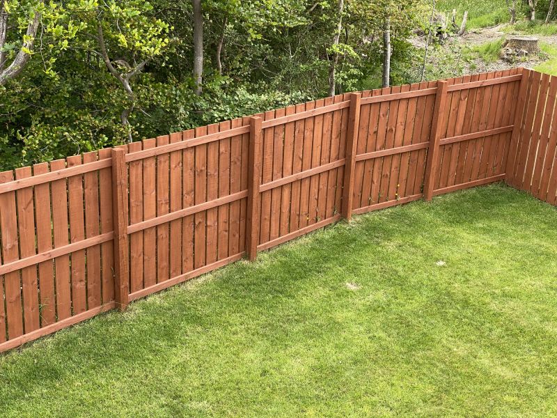 Exterior painting of backyard fencing